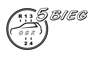 logo 5 BIEG